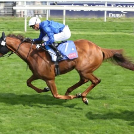 Noble Style will skip the Greenham Stakes’ Newbury prep to support Charlie Appleby’s 2000 Guineas challenge