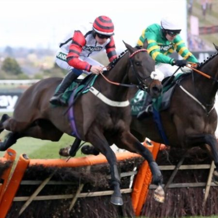 Bravemansgame and Constitution Hill both expressed intentions to compete in the Aintree Hurdle & Bowl