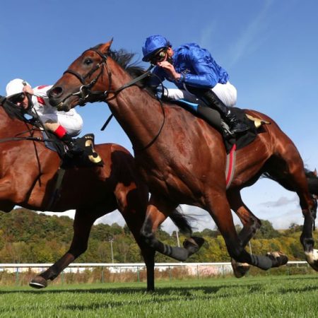 A new study aims to prevent injuries in British horse racing