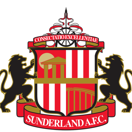 Sunderland’s Biggest Competitors