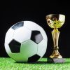 Premier League PFA Player of the Year Odds 24/25 Favourites