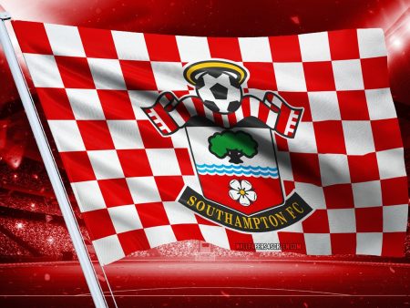 Next Southampton Manager Odds: The Favourites and Prediction