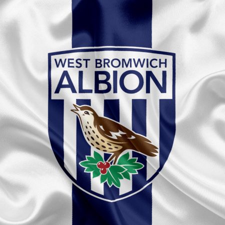 Next West Brom Manager Odds: The Favourites and Predictions