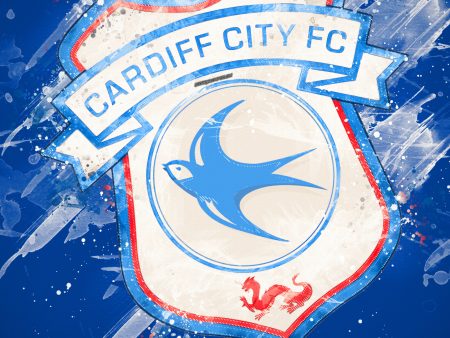 Next Cardiff City Manager Odds: Who Will Take Over the Bluebirds?