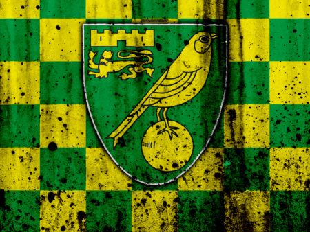 Next Norwich City Manager Odds: Bet Favourites & Best Odds