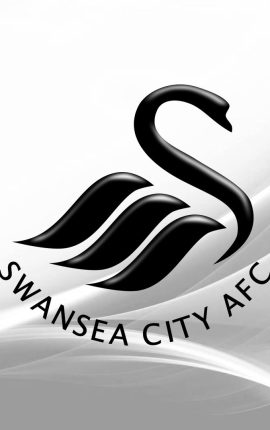 Next Swansea City Manager Odds: Who Will Be The New Swans Boss?