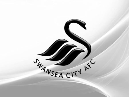 Next Swansea City Manager Odds: Who Will Be The New Swans Boss?