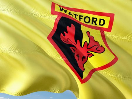 Next Watford Manager Odds: Top Favourites & Best Odds