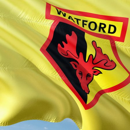 Next Watford Manager Odds: Top Favourites & Best Odds