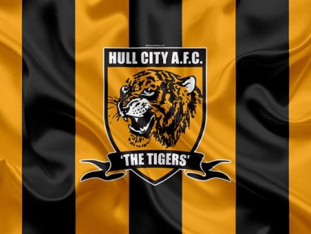 Next Hull City Manager Odds: Latest Bet Favourites To Take Charge At The Tigers